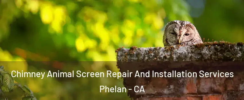  Chimney Animal Screen Repair And Installation Services Phelan - CA