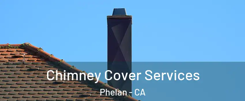  Chimney Cover Services Phelan - CA