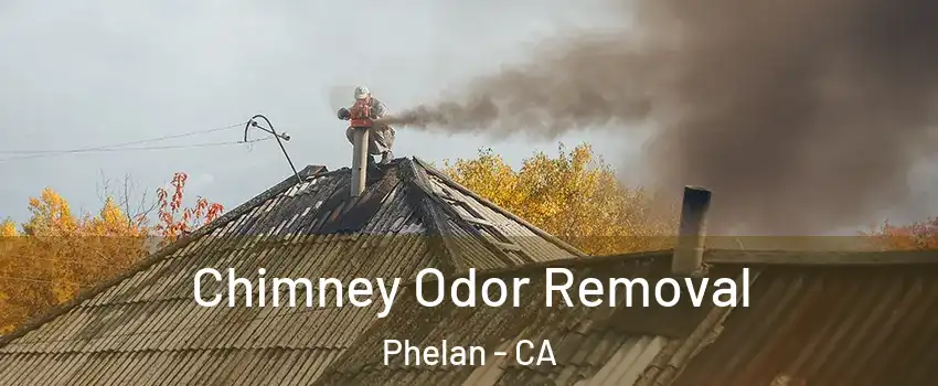  Chimney Odor Removal Phelan - CA