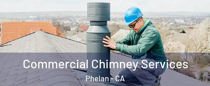  Commercial Chimney Services Phelan - CA