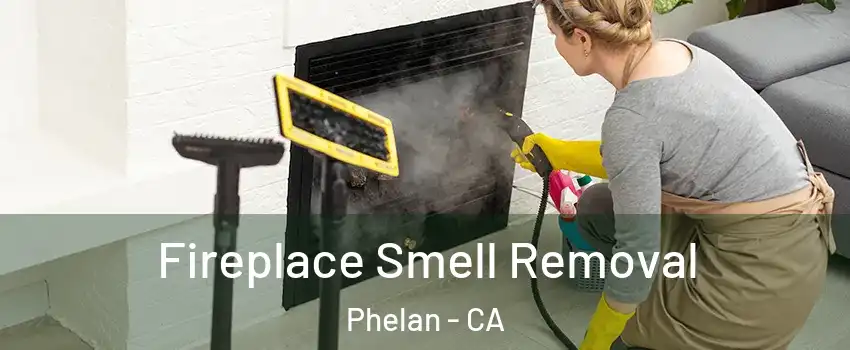  Fireplace Smell Removal Phelan - CA