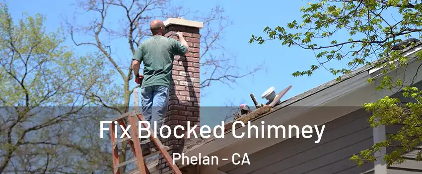  Fix Blocked Chimney Phelan - CA
