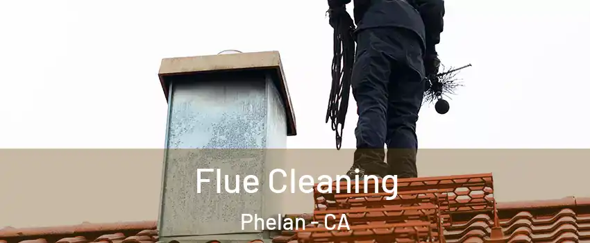 Flue Cleaning Phelan - CA