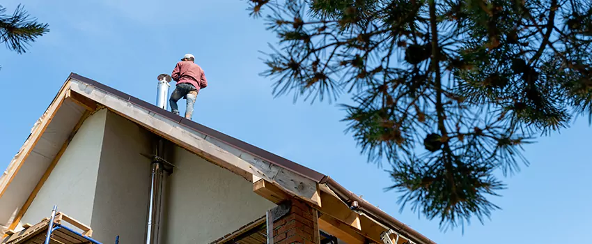 Birds Removal Contractors from Chimney in Phelan, CA